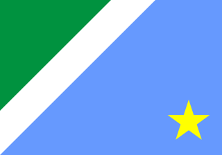 ブラジルのマトグロッソ・ド・スル州の州旗