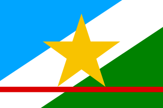 ブラジルのロライマ州の州旗